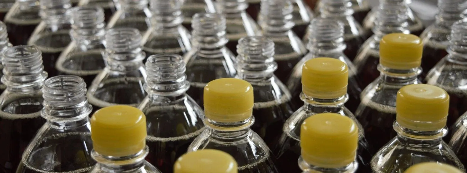 Spreadsheet on a laptop